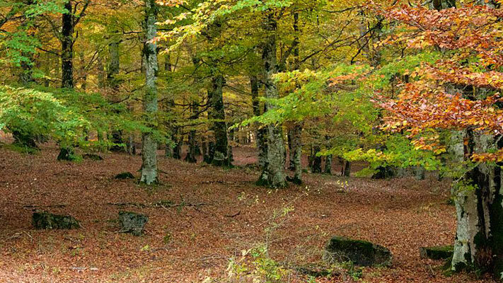 Sierra de urbasa andia